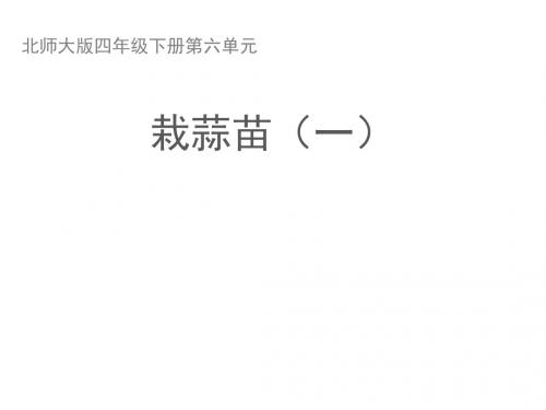四年级下册数学课件-6.2《栽蒜苗一》-北师大版