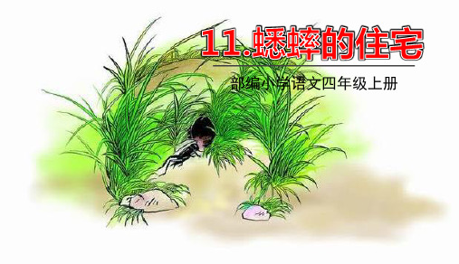 11蟋蟀的住宅   课件