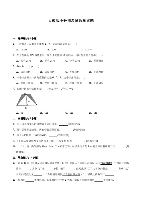 人教版数学六年级小升初试卷含答案解析