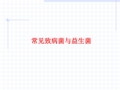常见致病菌与益生菌PPT课件
