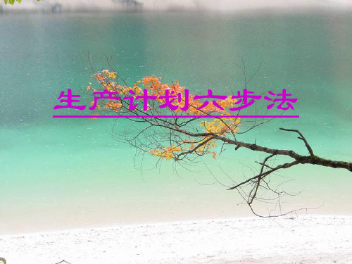 生产计划六步法