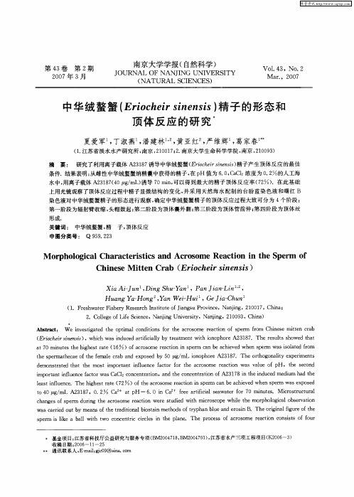 中华绒螯蟹(Eriocheir sinensis)精子的形态和顶体反应的研究