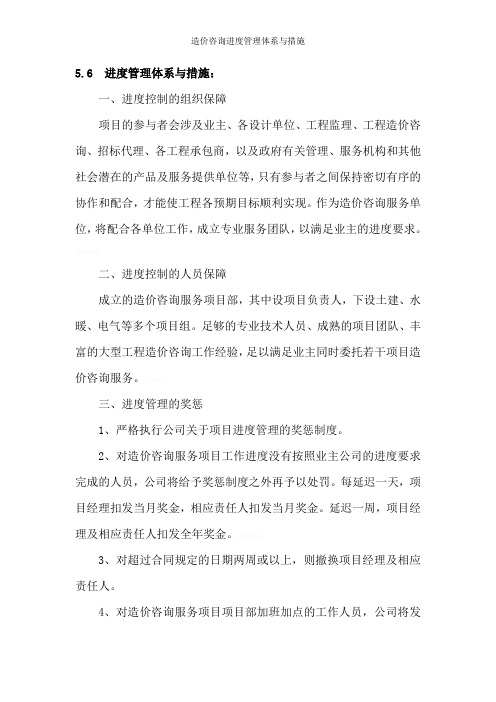造价咨询进度管理体系与措施