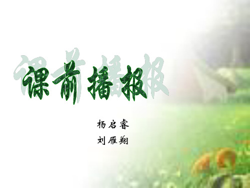 蝾螈简介