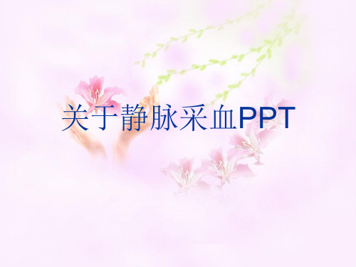 关于静脉采血PPT课件