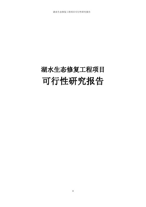 湖水生态修复工程项目可行性研究报告