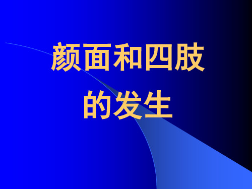 20-1-颜面和四肢的发生