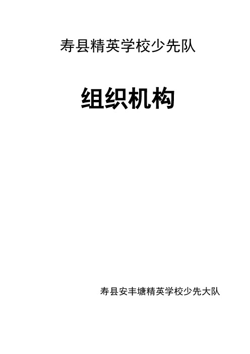 少先队组织机构