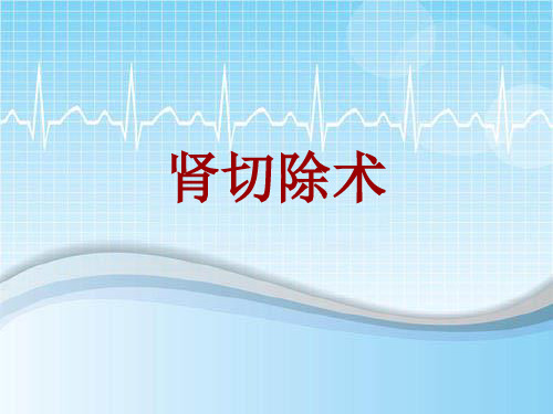 手术讲解模板：肾切除术