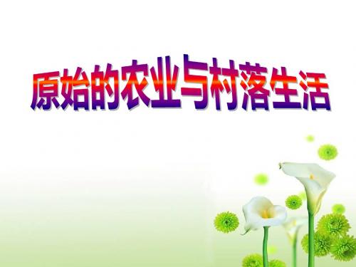 人教版 史前时代 PPT教学课件6