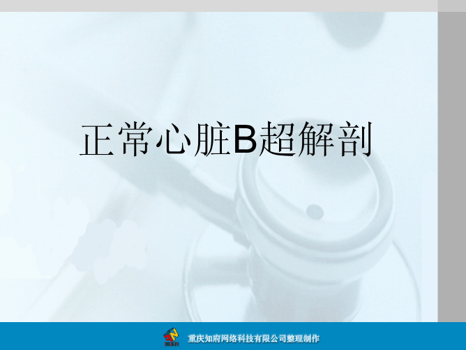 正常心脏B超解剖图谱