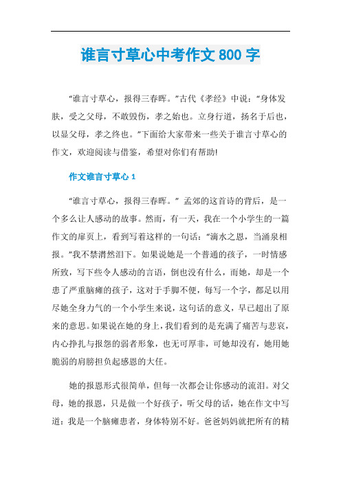谁言寸草心中考作文800字