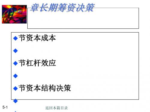 资本结构概述(PPT 79张)