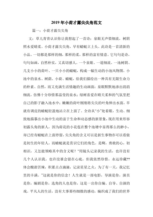 2019年小荷才露尖尖角范文.doc