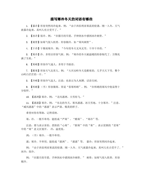描写寒冷冬天的词语有哪些
