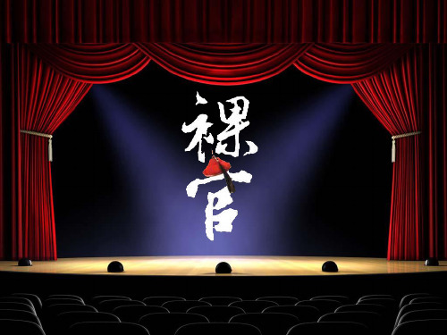 试论裸官现象 PPT课件