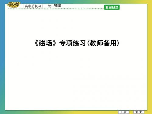 《磁场》专项练习