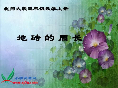 (推荐)北师大版数学三年级上册《地砖的周长》