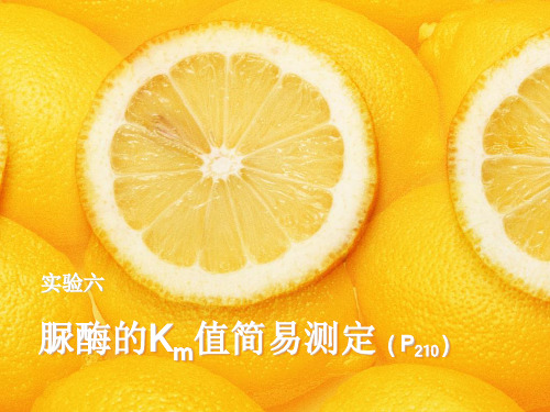 实验六 脲酶的Km值简易测定(WT)