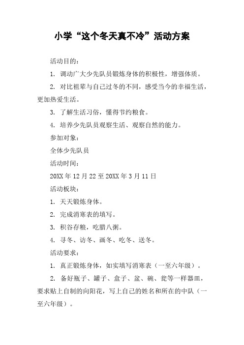 小学“这个冬天真不冷”活动方案