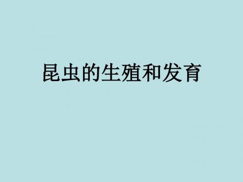 昆虫的生殖和发育