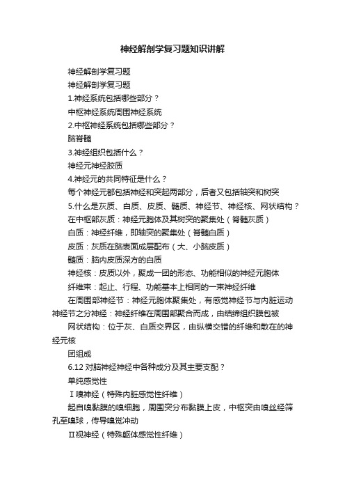 神经解剖学复习题知识讲解