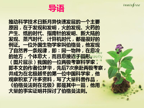 伯格曼法则在北极课件
