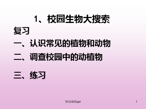 校园生物大搜索ppt课件