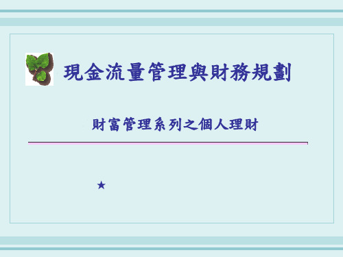 现金流量管理与财务规划课件