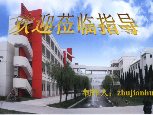 高考复习语言表达准确、鲜明、生动PPT4[优质实用版课件]