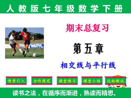 新编：人教版七年级下册数学期末复习第5章《相交线与平行线》