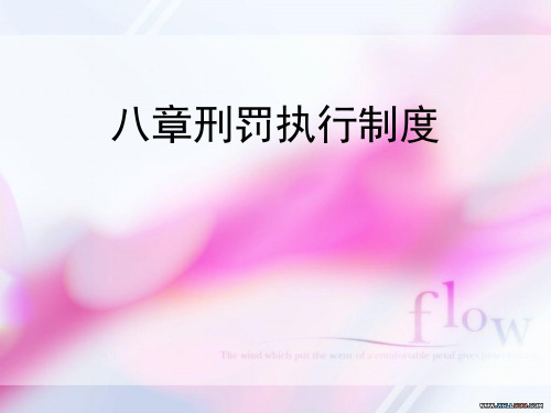 刑罚执行制度教材(PPT 48张)