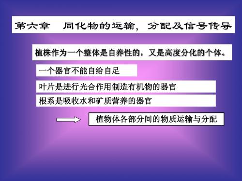 第六章同化物的运输与传导