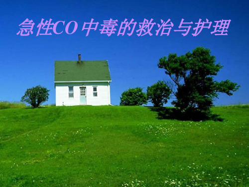 急性CO中毒的急救与护理ppt课件