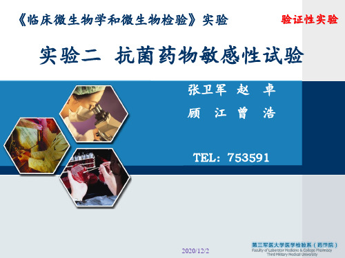 实验二 抗菌药物敏感性试验 ppt课件