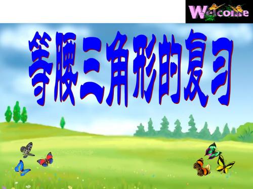 等腰三角形的复习
