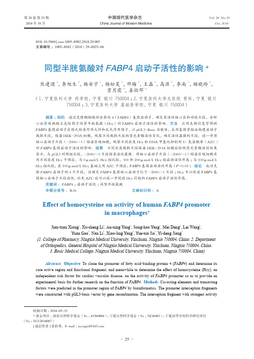 同型半胱氨酸对FABP4启动子活性的影响