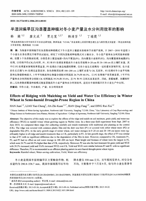 半湿润偏旱区沟垄覆盖种植对冬小麦产量及水分利用效率的影响