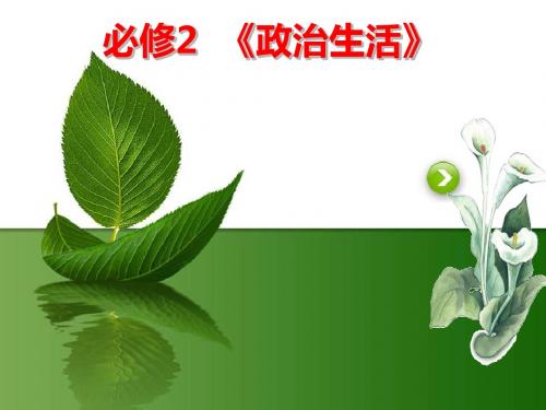 2017政治生活第一课 生活在人民当家作主的国家
