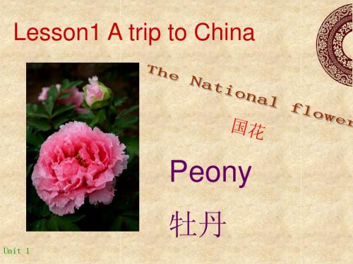 冀教版七年级英语下册Lesson_1_a_trip_to__China课件