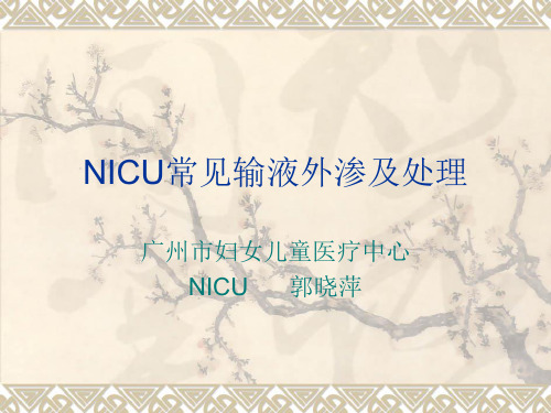 NICU常见输注外渗及处理