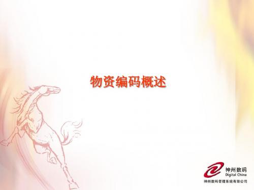 物资编码概述(PPT47张)
