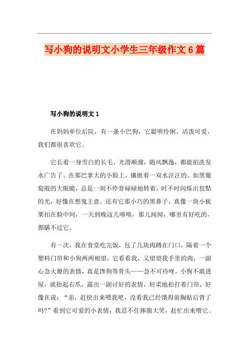 写小狗的说明文小学生三年级作文6篇
