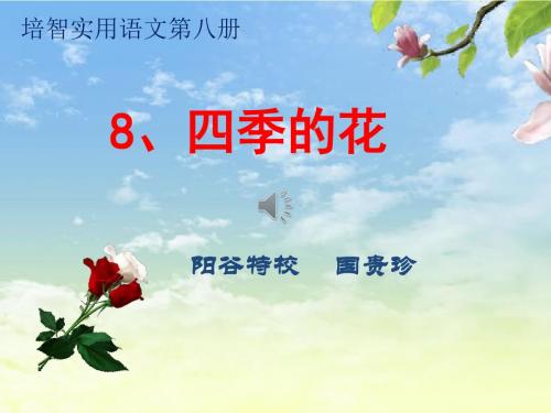 8、  四季的花