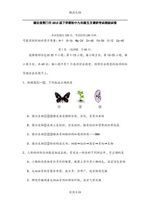 湖北省荆门市2013届下学期初中九年级五月调研考试理综试卷(1)
