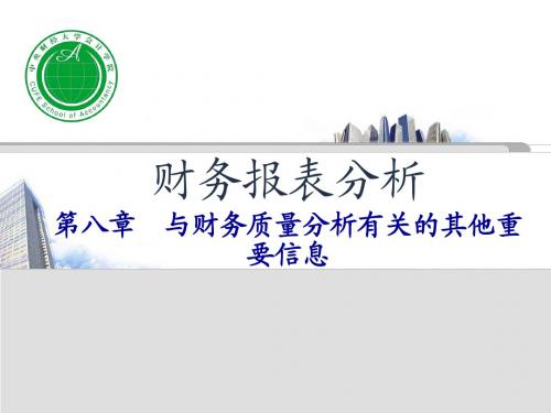 财务报表第八章财务报告的其他重要信息讲诉