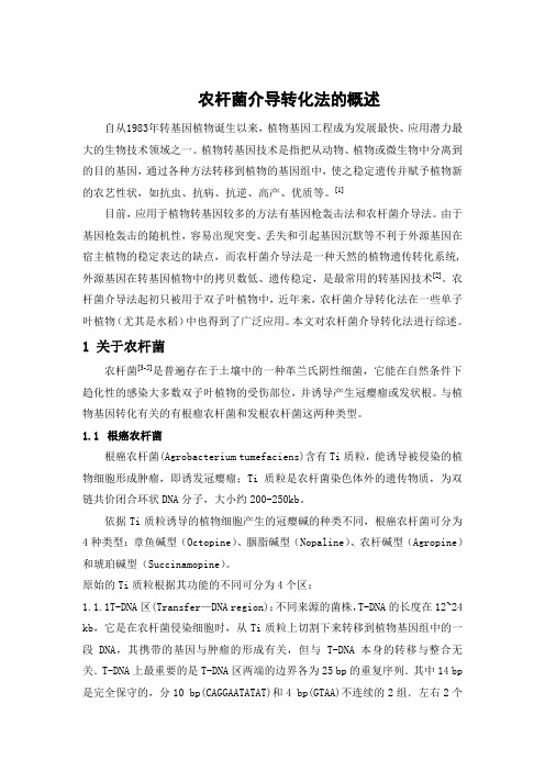 农杆菌介导转化法的概述