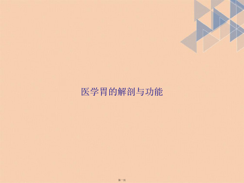 医学胃的解剖与功能讲课文档