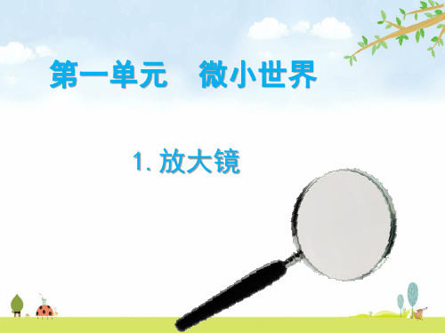 教科版科学六年级下册 全册课件