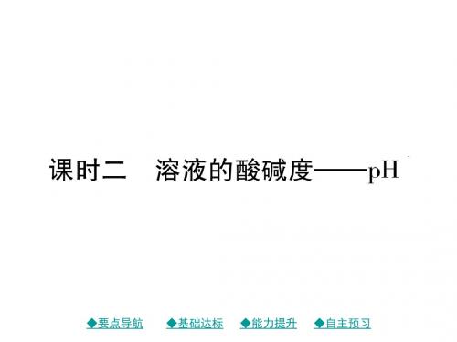 人教版九年级化学下教学课件：第10单元 课题2 课时2 
